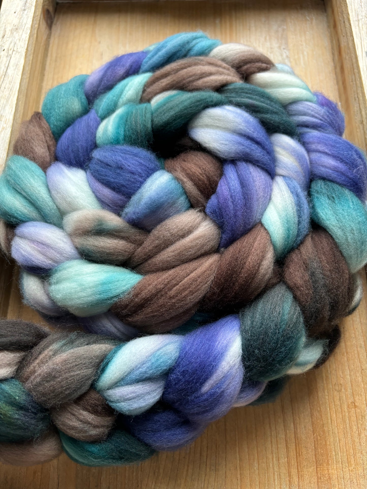 One of a Kind Batch - 100 grams of Spinning Fibre - 80% Superwash Merino Wool/ 20% Nylon - 22.5 Micron - Hand Dyed Combed Top