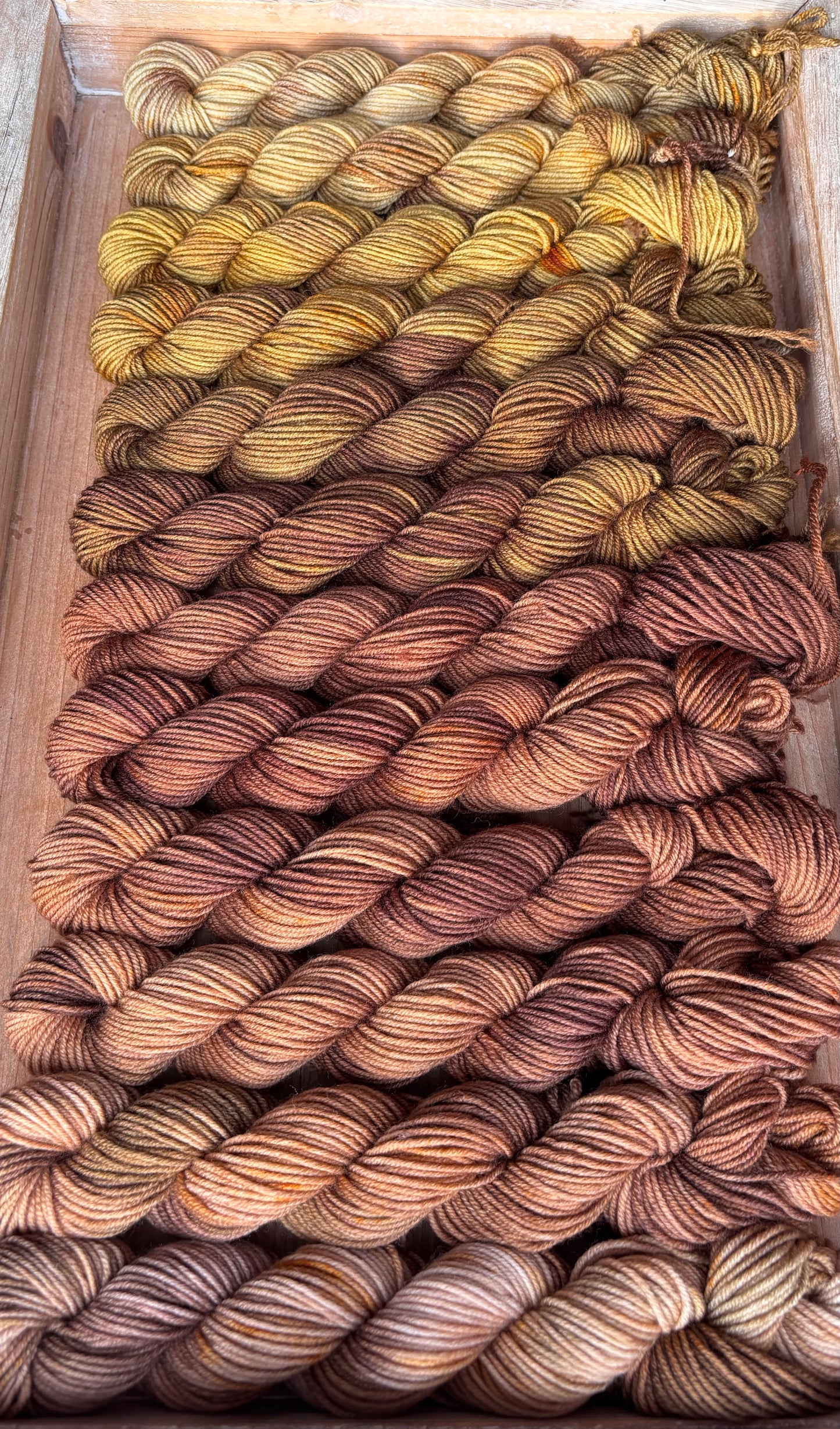 12 Skein Mini Yarn Fade - Squishy Sock Base