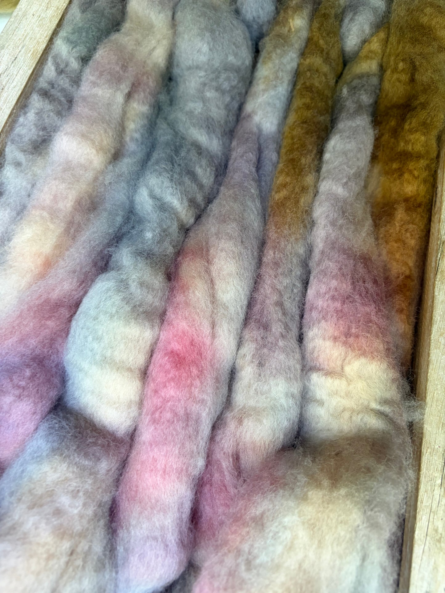 Bluefaced Leicester Wool - 26 Micron - One of a Kind Batch - 100 grams of Spinning Fibre - Hand Dyed Combed Top