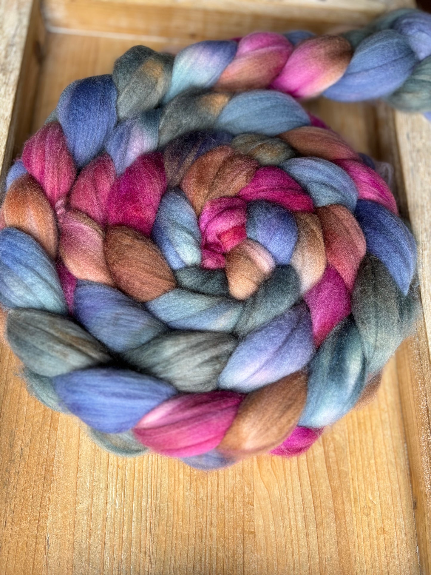 Fantasia - 100 grams of Spinning Fibre