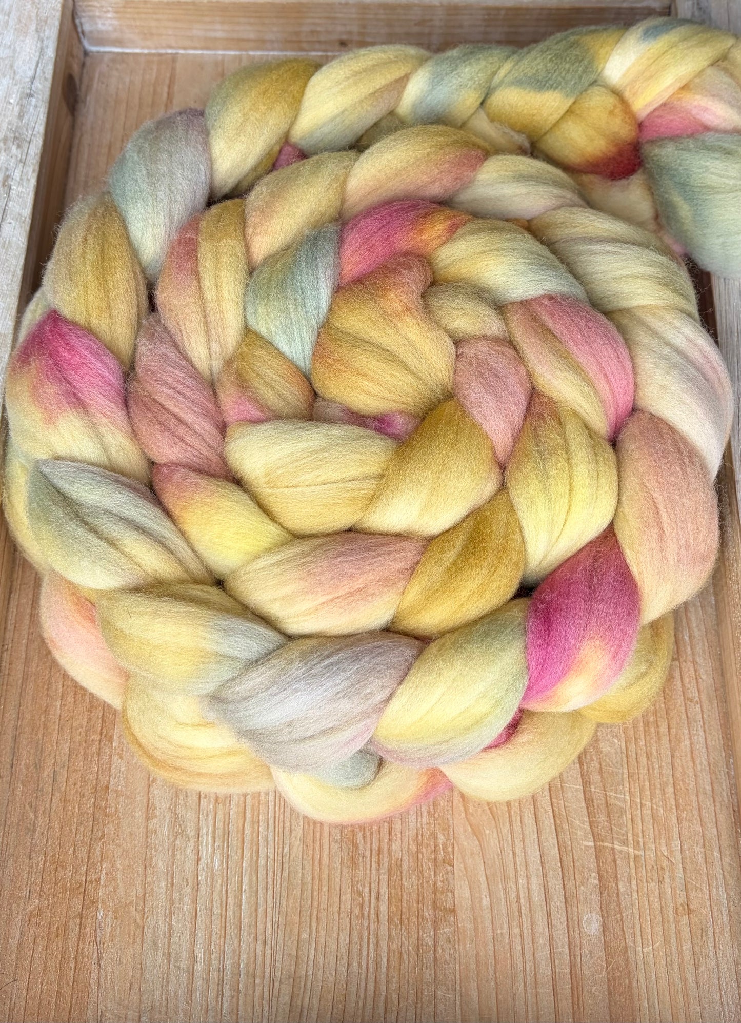 Targhee - 23 Micron - One of a Kind Batch - 100 grams of Spinning Fibre - Hand Dyed Combed Top