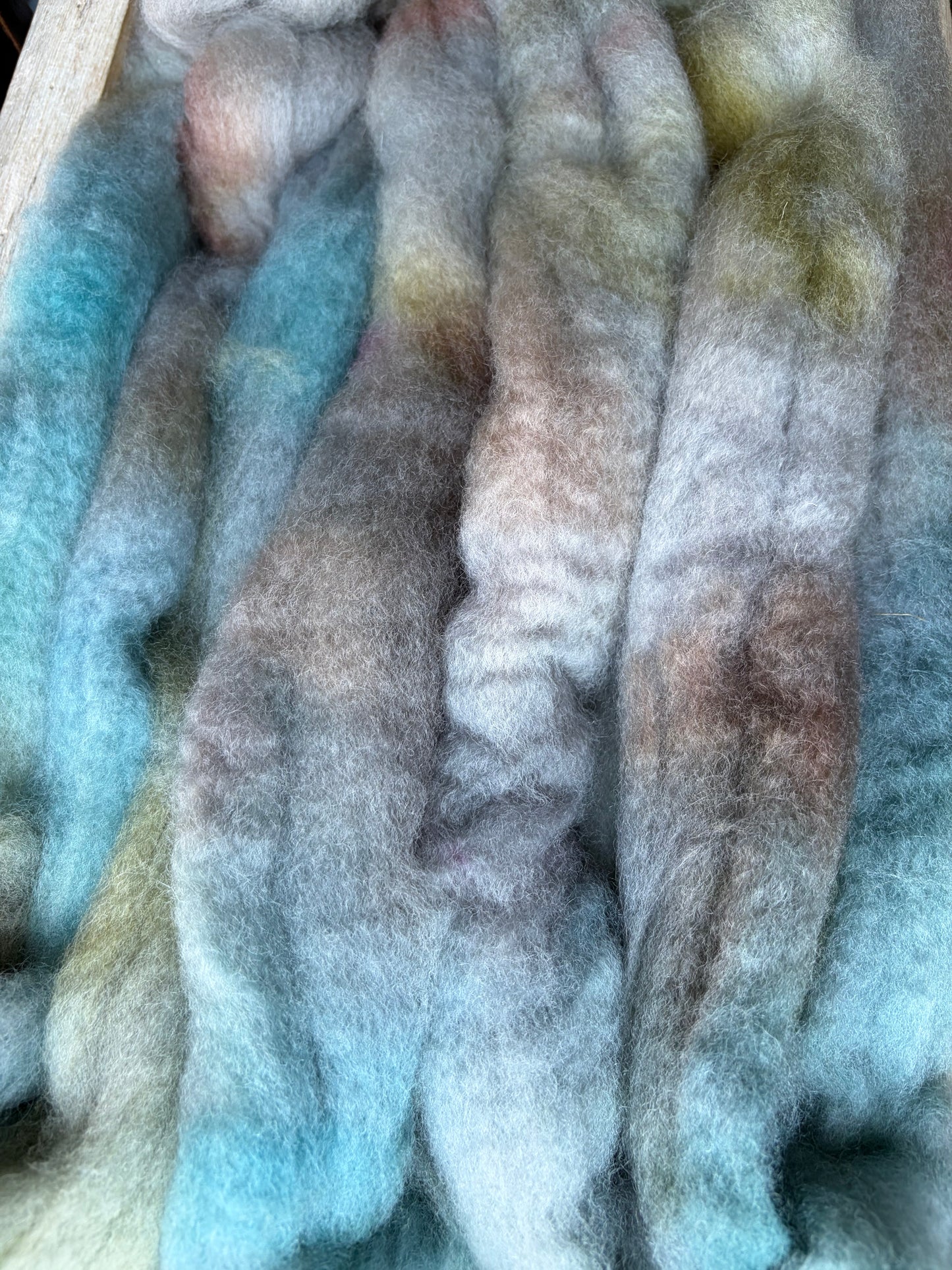 Bluefaced Leicester Wool - 26 Micron - One of a Kind Batch - 100 grams of Spinning Fibre - Hand Dyed Combed Top