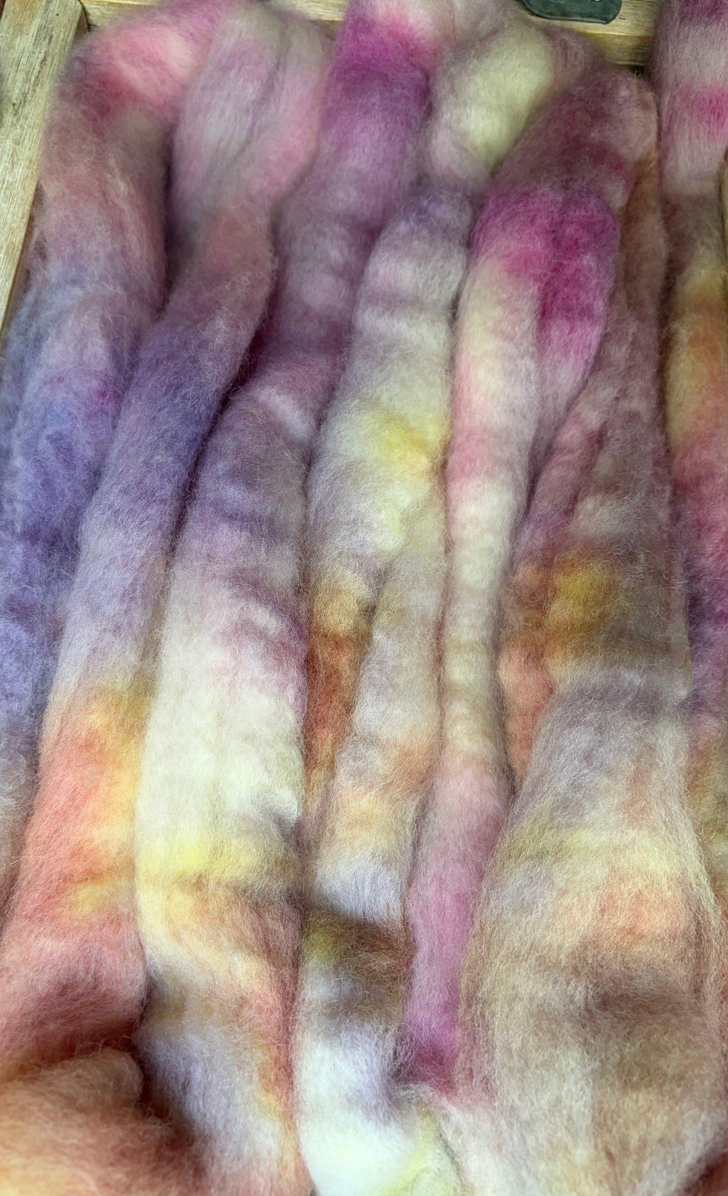 Bluefaced Leicester Wool - 26 Micron - One of a Kind Batch - 100 grams of Spinning Fibre - Hand Dyed Combed Top