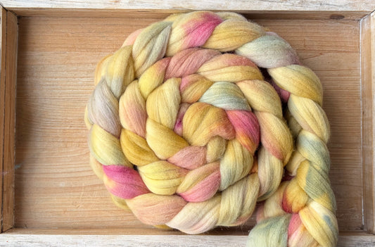 Targhee - 23 Micron - One of a Kind Batch - 100 grams of Spinning Fibre - Hand Dyed Combed Top