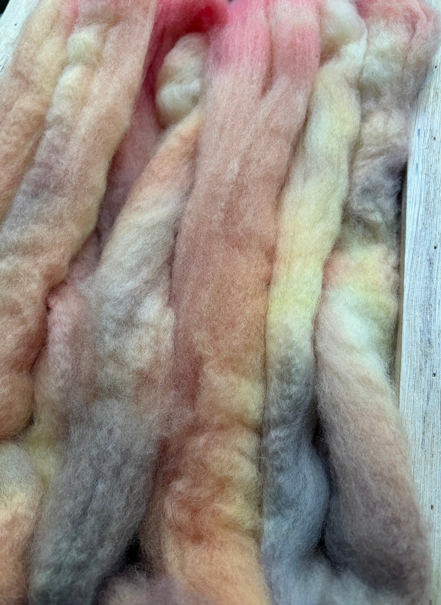 Bluefaced Leicester Wool - 26 Micron - One of a Kind Batch - 100 grams of Spinning Fibre - Hand Dyed Combed Top