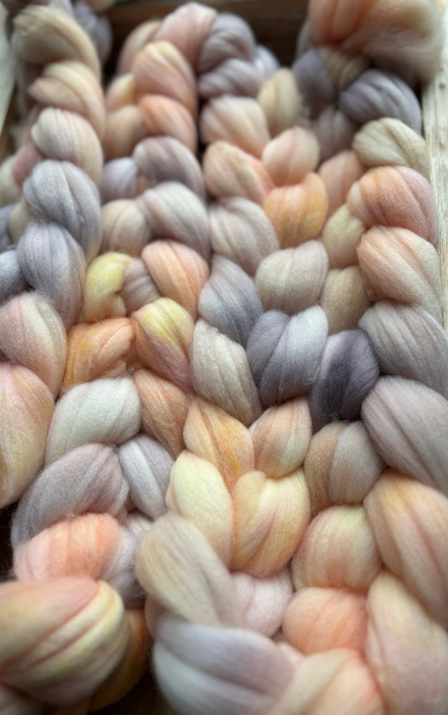 Seashells - 100 grams of Spinning Fibre