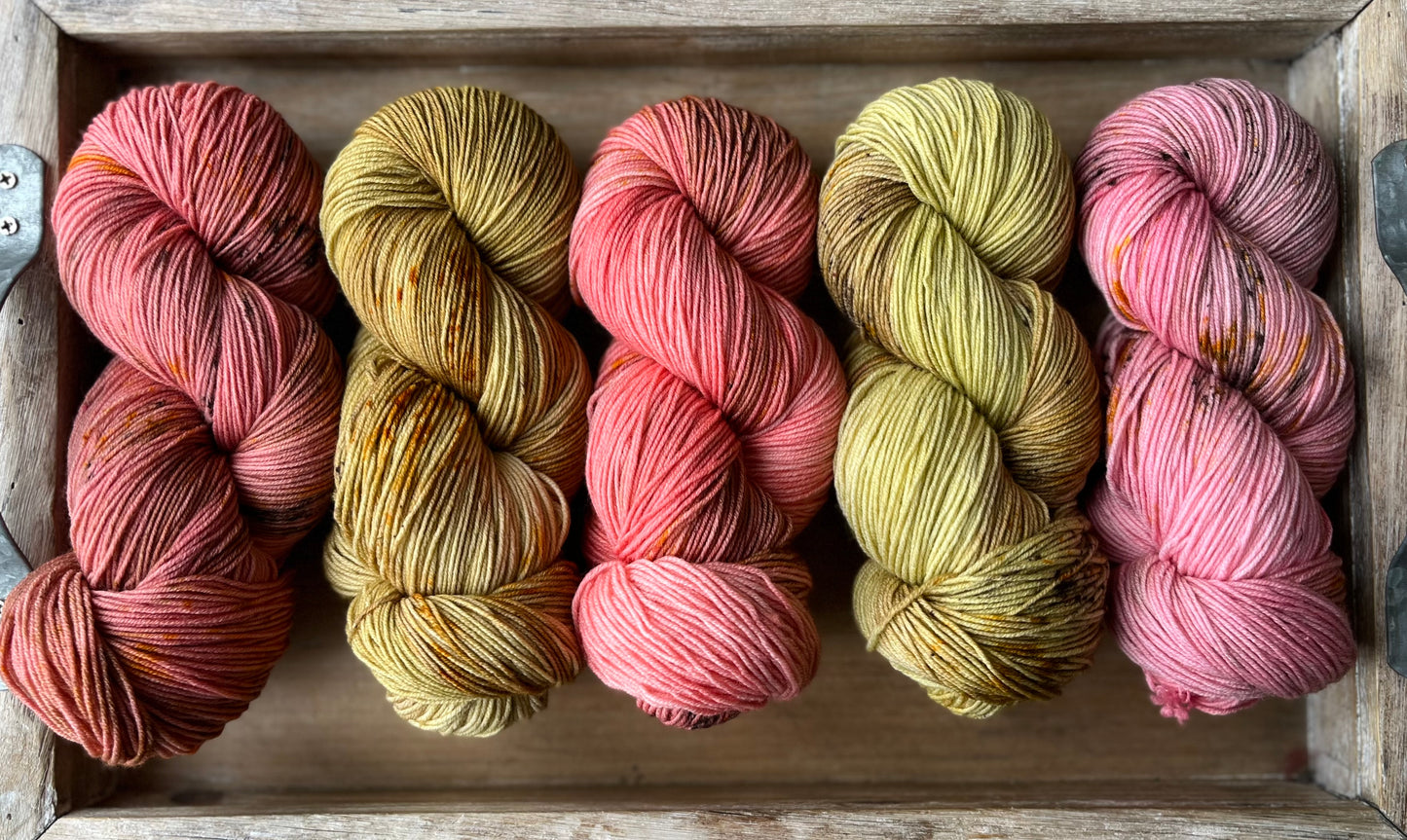 5 Skein Fade on Squishy Sock Base